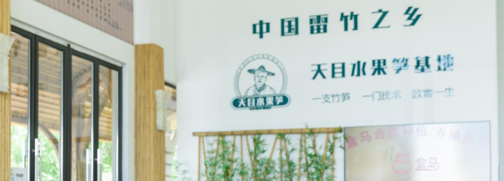 2025年暑假社会实践团青春三色笔绘就共富图景（转载杭州新闻）
